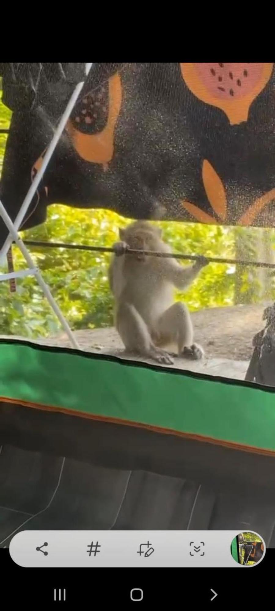 Joy Camping Хаад Рин Екстериор снимка